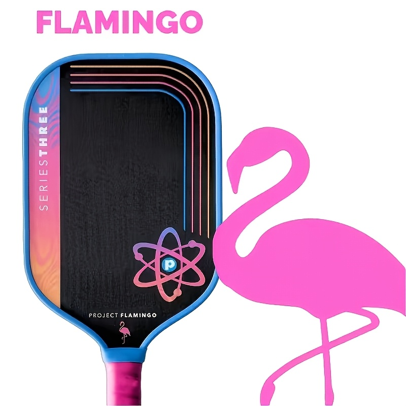 Paleta de Pickleball PROJECT P - Crepe Pan Carbon reseña y precio